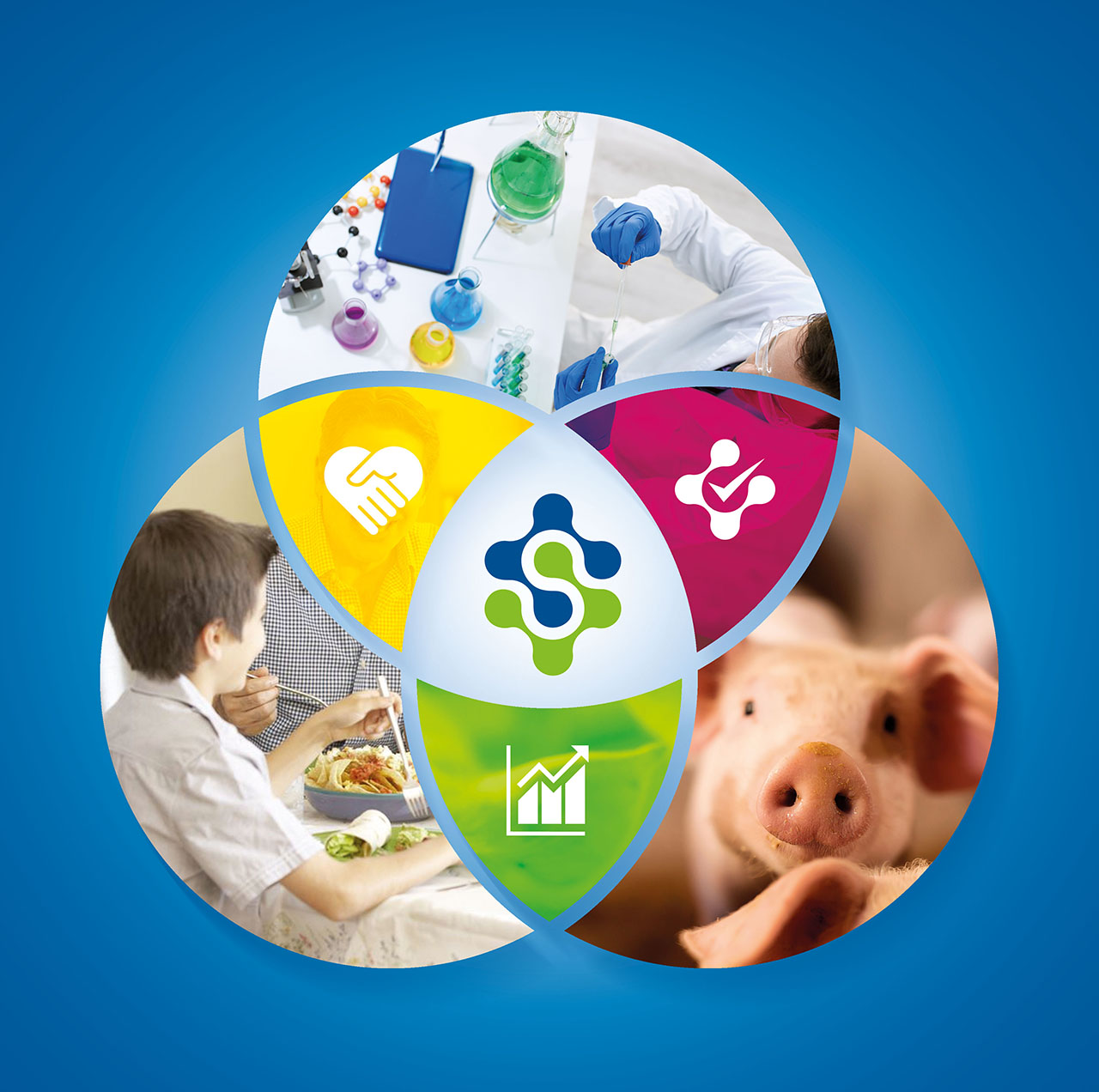 Estrutura para a Qualidade sauvfarmaco