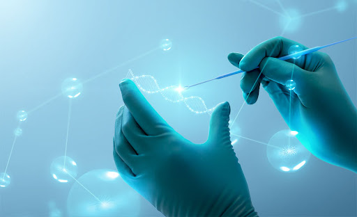 Gestão da Qualidade sauvfarmaco